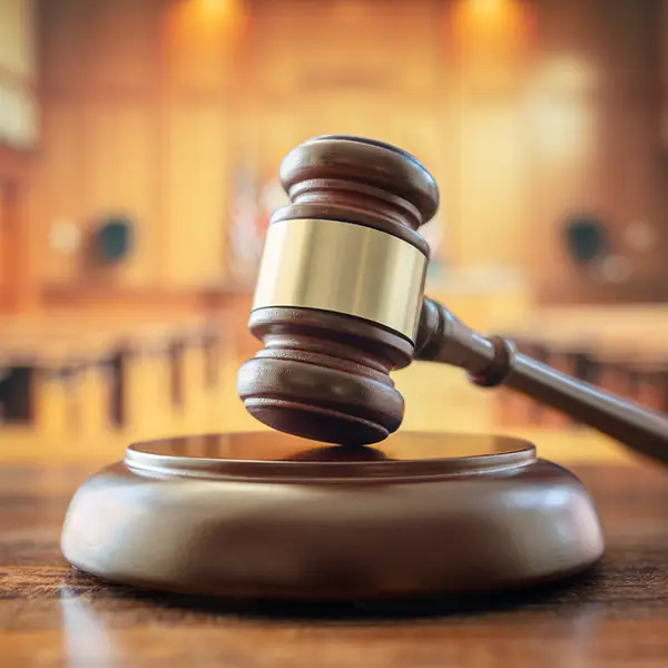 Link to Appellate Advocacy Practice Area Page