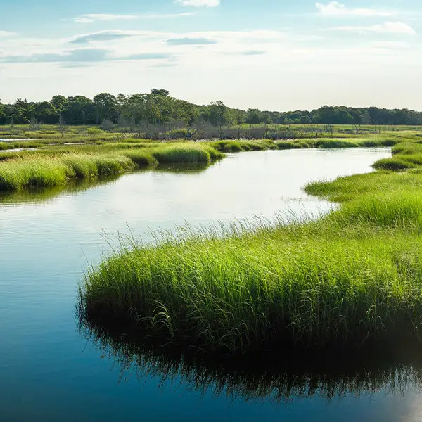 environmental-law Link to Environmental Law and Related Litigation and Counseling Practice Area Page