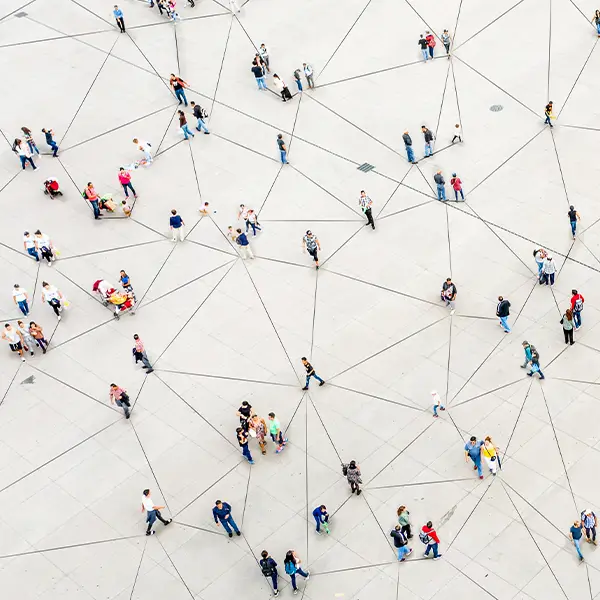 mass-tort Link to Mass Tort Litigation Practice Area Page